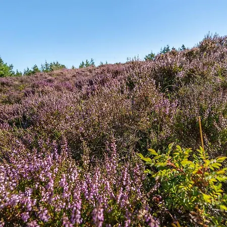 Asdis - 2-8km From The Sea By Interhome Prázdninový dům Bolilmark