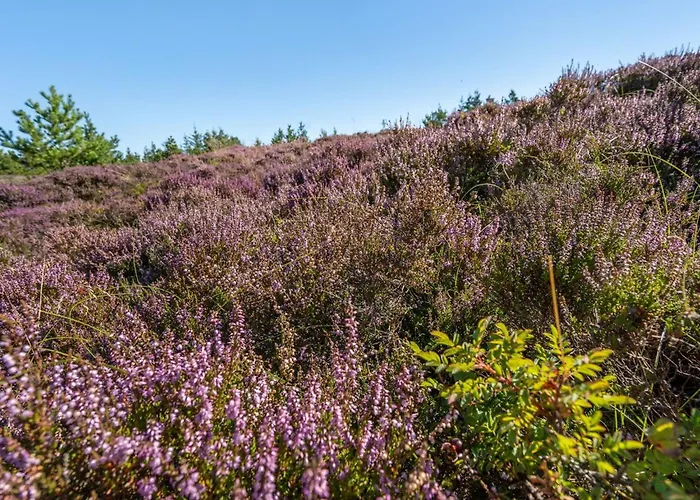 Asdis - 2-8km From The Sea By Interhome Feriehus Bolilmark